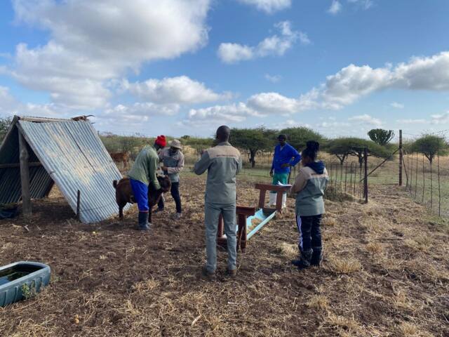 Field work photo 4