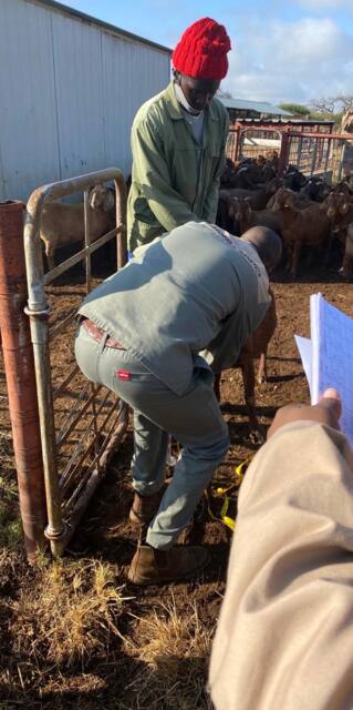 Field work photo 10