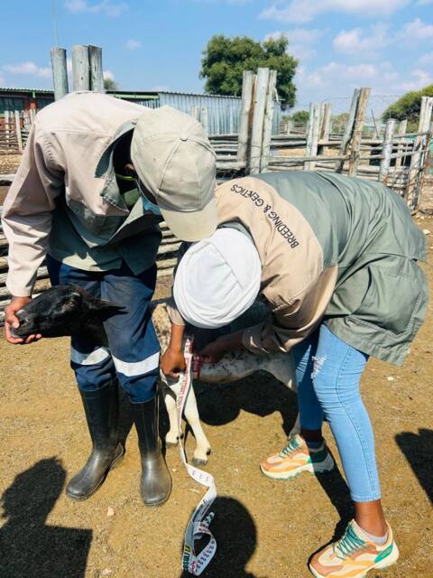 Field work photo 15
