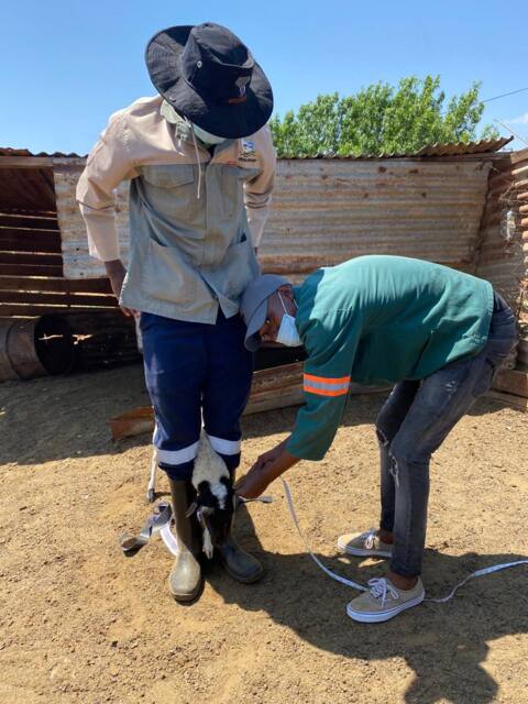 Field work photo 17