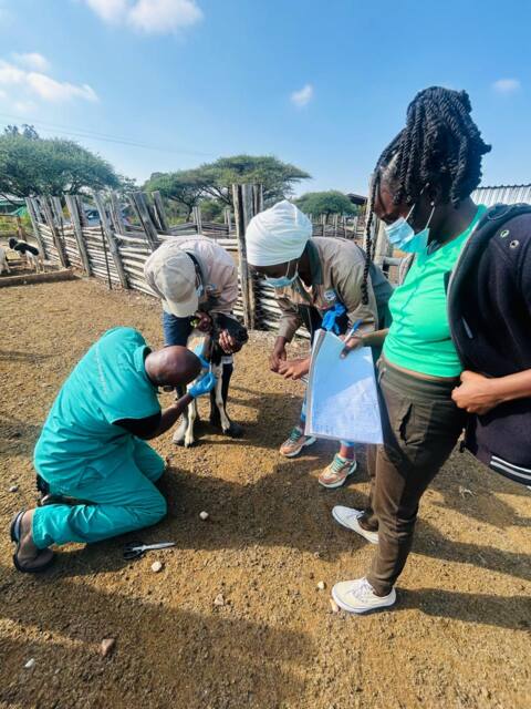 Field work photo 25