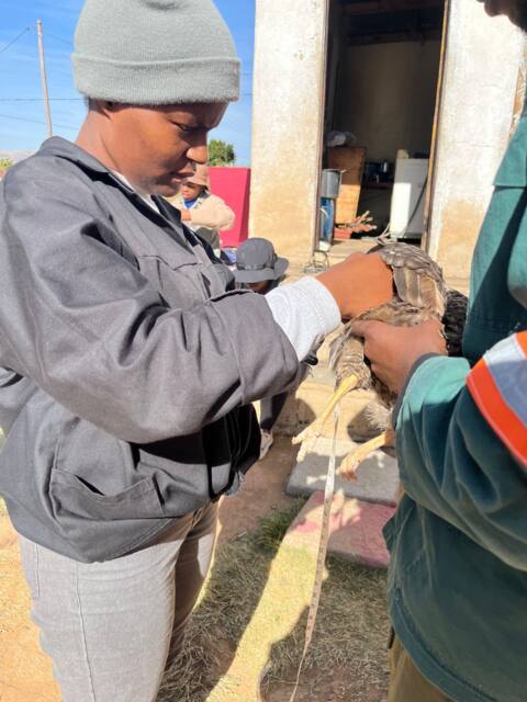 Field work photo 30
