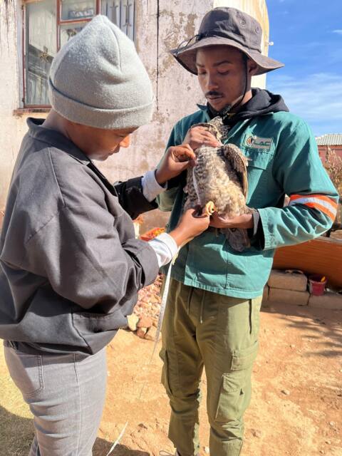 Field work photo 31