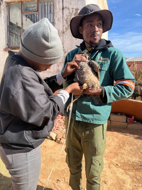 Field work photo 33