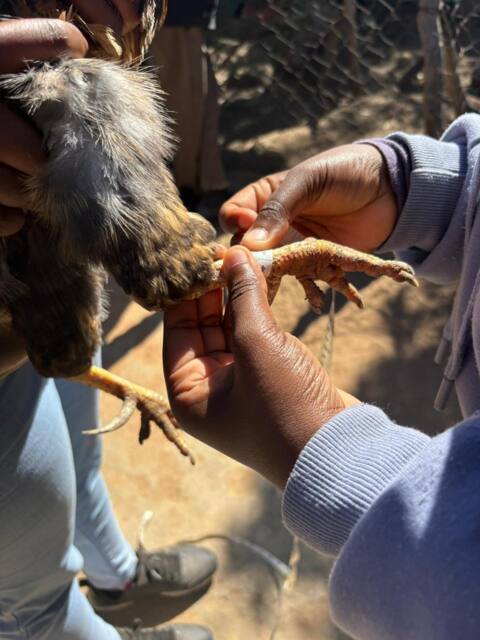 Field work photo 37
