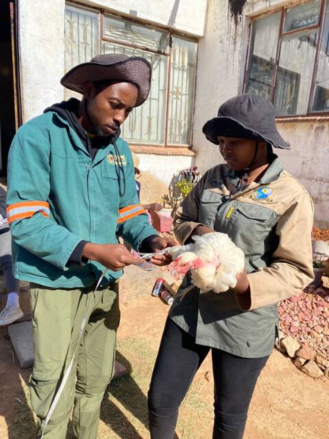 Field work photo 41