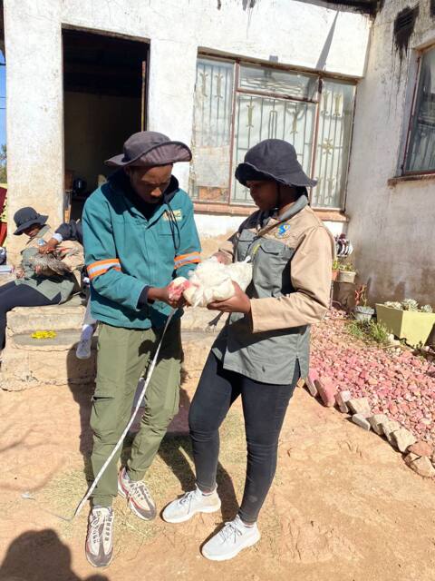 Field work photo 42