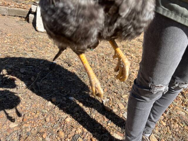 Field work photo 78