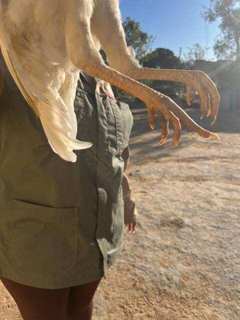 Field work photo 85