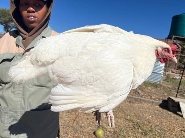 Field work photo 131