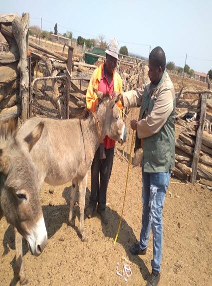 Field work photo 135