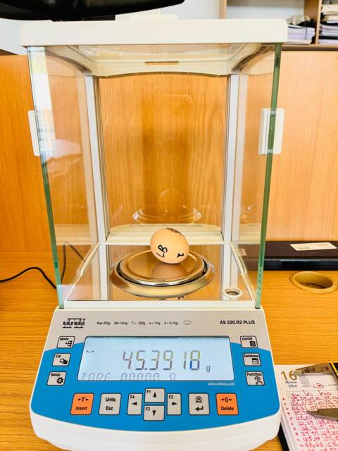 Mr Mokoena & Ms Hlokoe recording egg weight