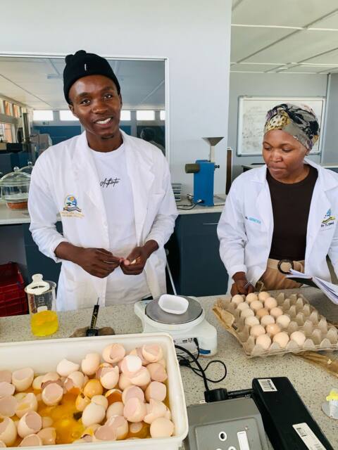 Determining egg weight