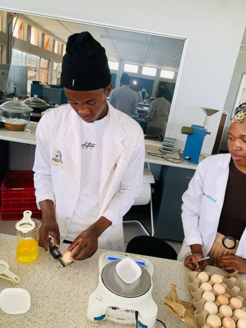 Determining yolk weight