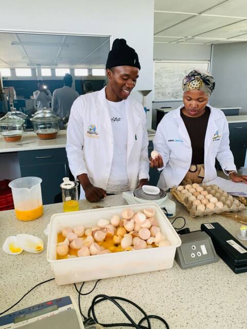 Separating egg yolk and albumen
