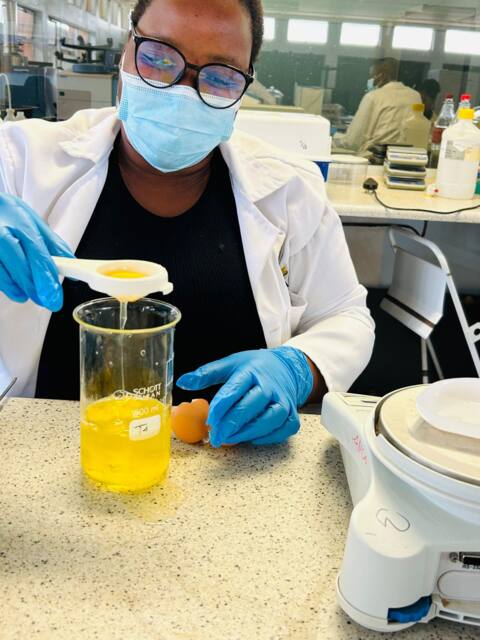 Lab work photo 20