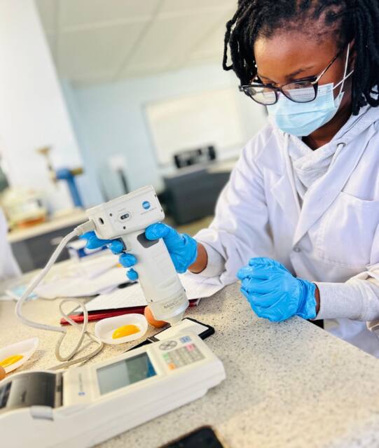 Lab work photo 22