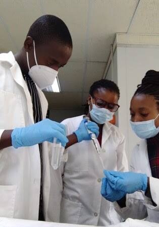 Lab work photo 26