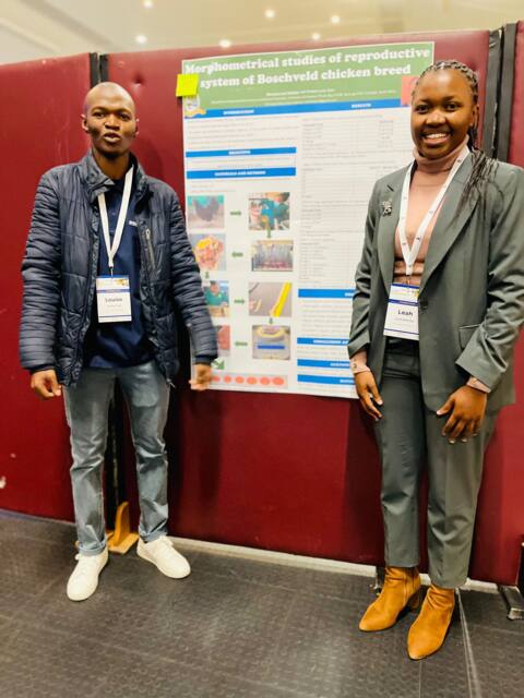 Presentations photo 4