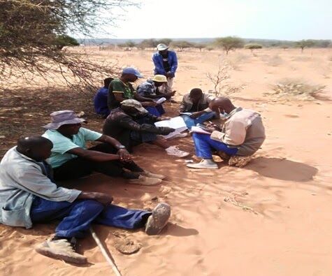 Community-based livestock breeding